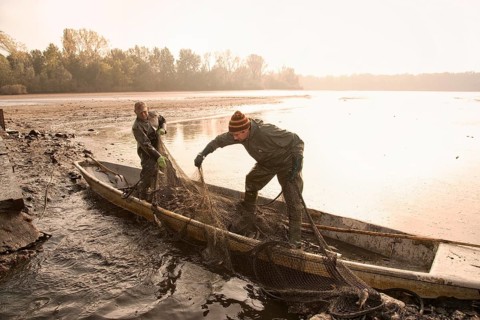 Fishing of the large pond in BÃ¤rnsdorf