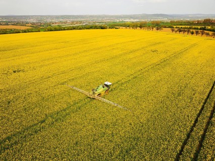 Crop protection products are applied to a rapeseed field on the outskirts of Dresden