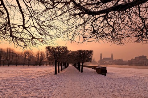 Dresden morning fog over the Elbe