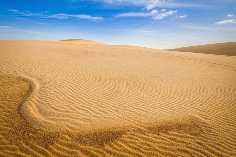 White sand dunes desert on sunrise, Mui Ne, Vietnam, Asia