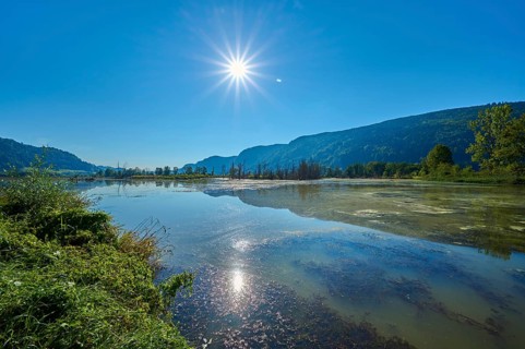 Moorland, sun, moor, summer, BleistÃ¤tter Moor, Steindorf am Ossiacher See, Lake Ossiach,