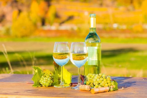 The wine-growing region of Saxony is one of the smallest and the most easterly wine-growing region