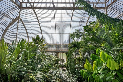Palm House, the oldest Victorian greenhouse in the world, Royal Botanic Gardens, Kew, London,