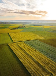Aerial view of fields in autumn at sunrise, Herrenberg, Germany, Europe