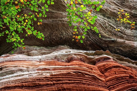 Eroded red sandstone, old castle rock, close-up, natural and cultural monument, Brechenberg near