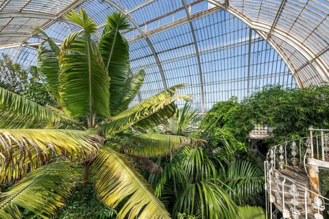 Palm House, oldest Victorian greenhouse in the world, Royal Botanic Gardens, Kew, London, England,