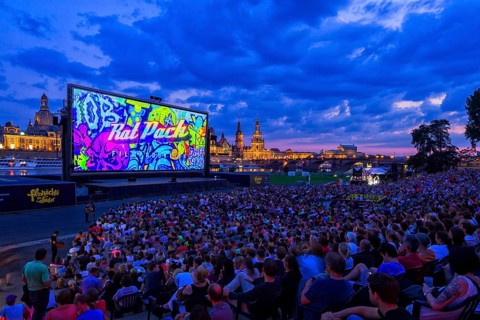 Film Nights on the banks of the Elbe