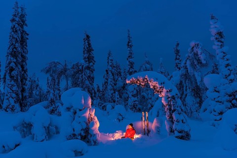 Man at the campfire, Muddus National Park, World Heritage Laponia, Norrbotten, Lapland, Sweden,