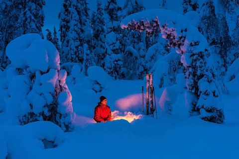 Man at the campfire, Muddus National Park, World Heritage Laponia, Norrbotten, Lapland, Sweden,