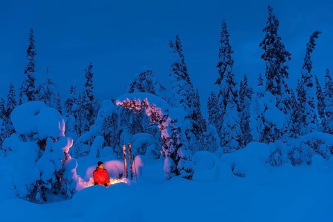 Man at the campfire, Muddus National Park, World Heritage Laponia, Norrbotten, Lapland, Sweden,