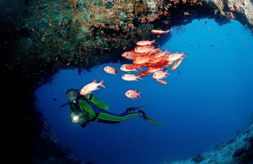 Scuba diver and white-fringed soldierfish, underwater cave, Myripristis murdjan, Maldives, Indian