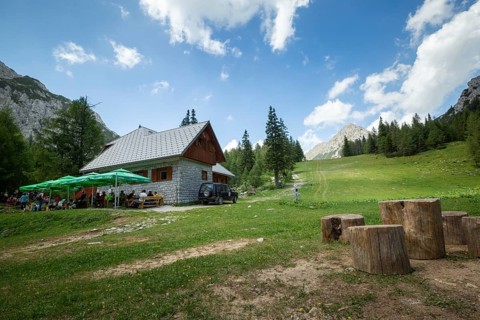 Zelenica above Ljubelj in Slovenia. Karavanke alps in summer with wild flowers blooming