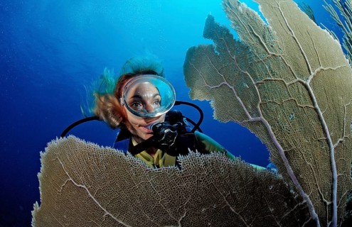 Coral reef and divers, Punta Cana, Caribbean Sea, Dominican Republic, Central America
