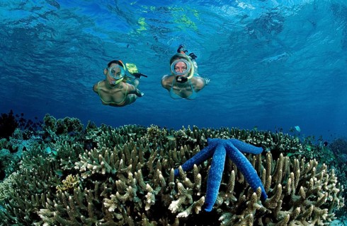 Two woman snorkelling, Bali, Indian Ocean, Indonesia, Asia