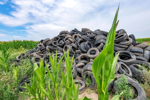 Old broken car tyres piled up up to form a mountain in a cornfield