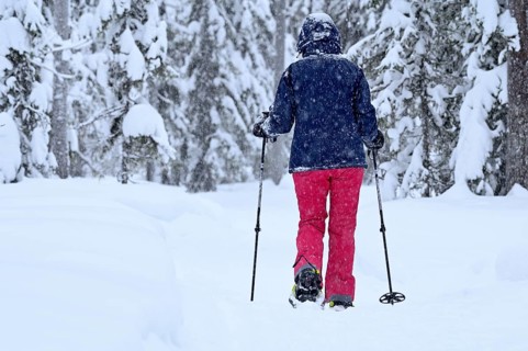 Woman trudging through snowy forest on snowshoes, Lapland, Finland, Europe