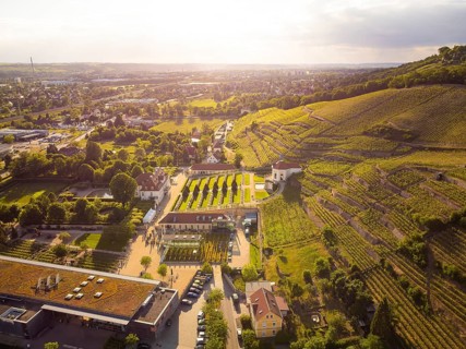 Wackerbarth Castle, originally Wackerbarths Ruh', is a Baroque castle surrounded by vineyards in