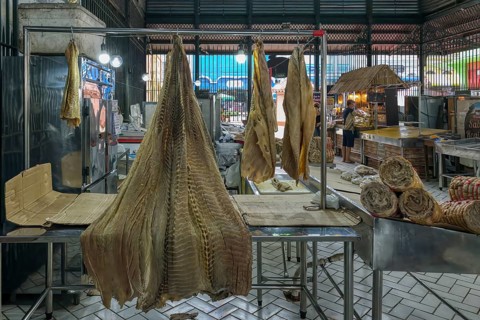 Giant pirarucu fish or (Arapaima gigas) fish hanging in the fish market section, Adolpho Lisboa