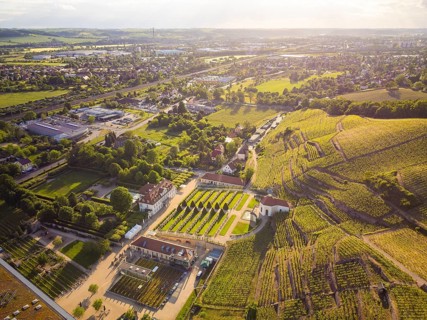 Wackerbarth Castle, originally Wackerbarths Ruh', is a Baroque castle surrounded by vineyards in