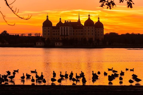 Moritzburg Baroque Palace
