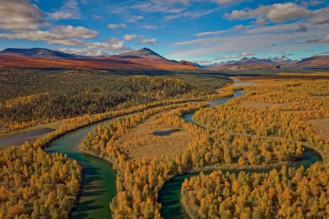 Drone shot, view of the Änok marshland with river Kamajakka, birch forests, autumn, intense