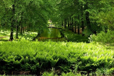 Hermsdorf Castle Park