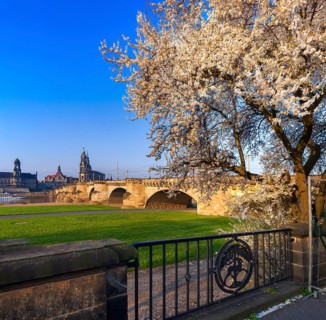 Spring on the Königsufer in Dresden