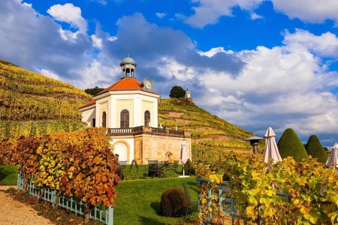 Wackerbarth Castle or Wackerbarths Ruh is a Baroque castle surrounded by vineyards in the