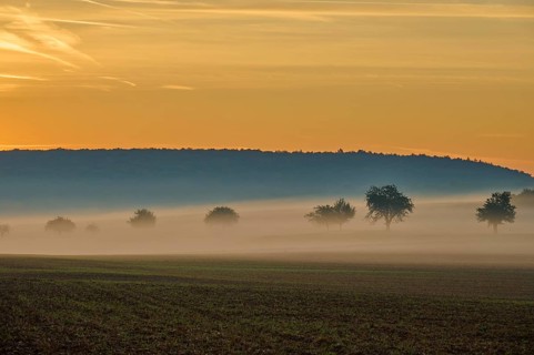 Landscape, fields, fruit trees, fog sunrise, Höhefeld, Wertheim, Baden-Württemberg, Germany, Europe