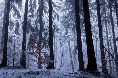 Winter weather on the Gohrisch (447) (8 metres) The Gohrisch is a table mountain in the left-elbe