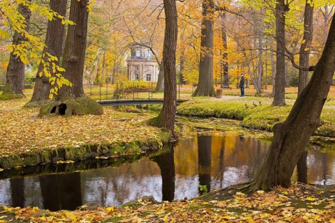 (Copyright Â©www.dresden fotografie.de) (Sylvio Dittrich +49 1772156417) Pillnitz Palace Park