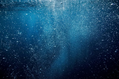 Rising air bubbles, island Vis, Mediterranean Sea, Croatia, Europe