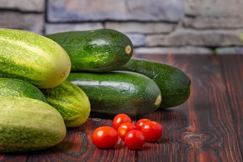 Courgettes (Cucurbita pepo), field cucumbers (Cucumis sativus), tomatoes (Solanum lycopersicum), on