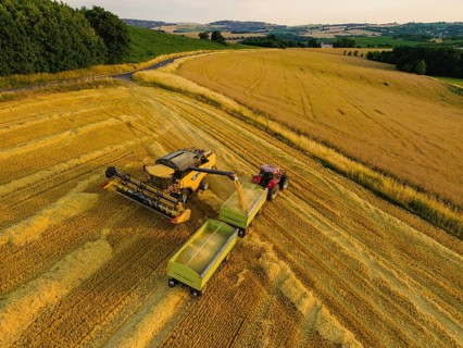 Grain harvest in a field near Babisnau on the outskirts of Dresden