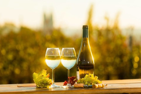 The wine-growing region of Saxony is one of the smallest and the most easterly wine-growing region
