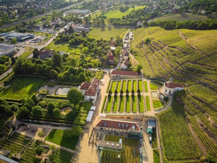 Wackerbarth Castle, originally Wackerbarths Ruh', is a Baroque castle surrounded by vineyards in