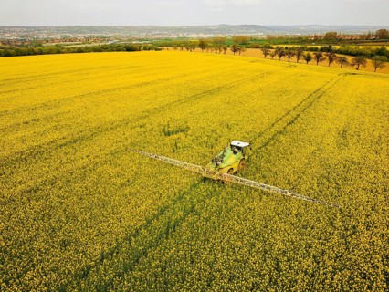 Crop protection products are applied to a rapeseed field on the outskirts of Dresden