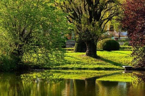 Diesbar Seusslitz Castle Park