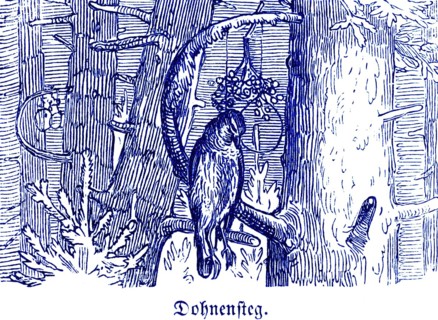 Krammetsvogel caught in Dohnensteg, trap for birds, Hubertus hunting and hunting scenes, branch