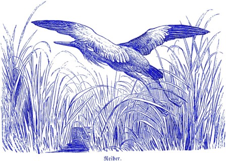 Heron in the reeds, Hubertus hunting and hunting scenes, wild animals, lake, flying, wings,