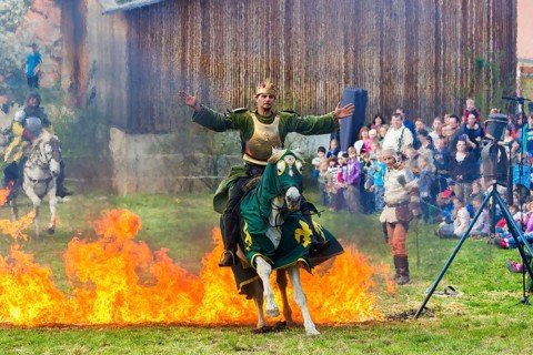 Knights Tournament Altzella