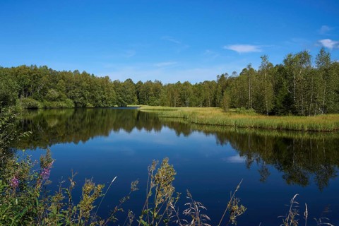 Rotes Moor, moor pond, Rhön Biosphere Reserve, Hesse, Germany, Europe