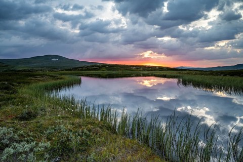 Lake in the landscape of the Hardangervidda plateau, Norway, Europe
