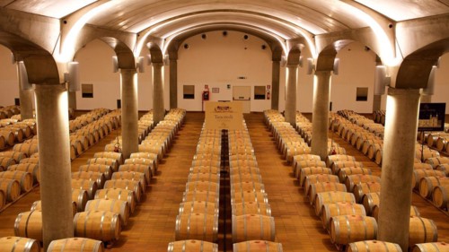 Long room with rows of wine barrels under a vaulted ceiling, illuminated by subdued light, Donna