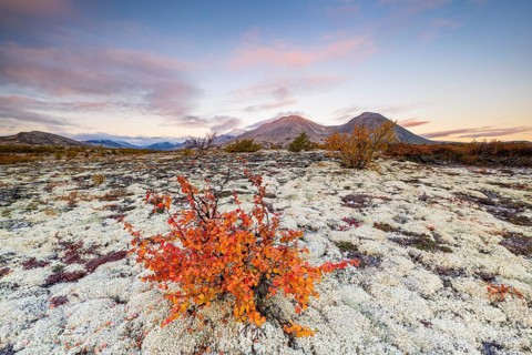 Autumn landscape in Rondane National Park, Norway, Europe