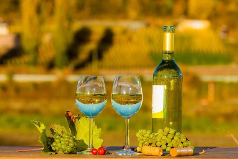 The wine-growing region of Saxony is one of the smallest and the most easterly wine-growing region