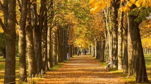 The former summer residence of the Saxon royal family is the largest chinoise palace complex in