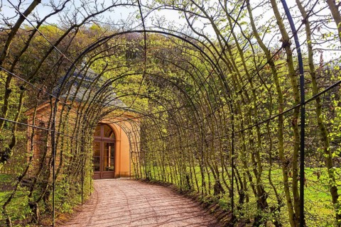 Weesenstein Castle Park