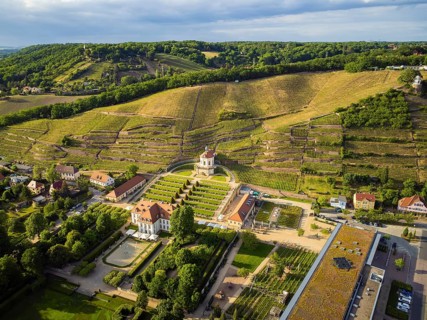 Wackerbarth Castle, originally Wackerbarths Ruh', is a Baroque castle surrounded by vineyards in