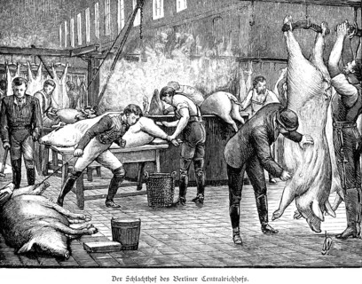 Berlin Centralviehhof slaughterhouse, slaughterhouse, slaughtering animals, pigs, hanging, burning,